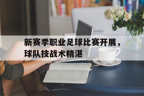 职业足球赛事